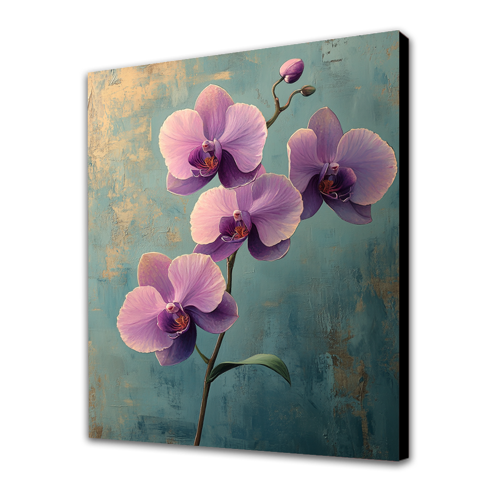 Gracia de Orquídeas