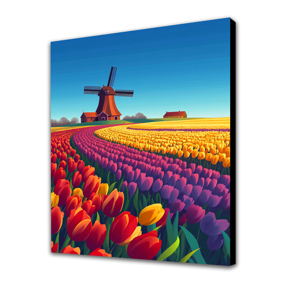 Campos de Tulipanes