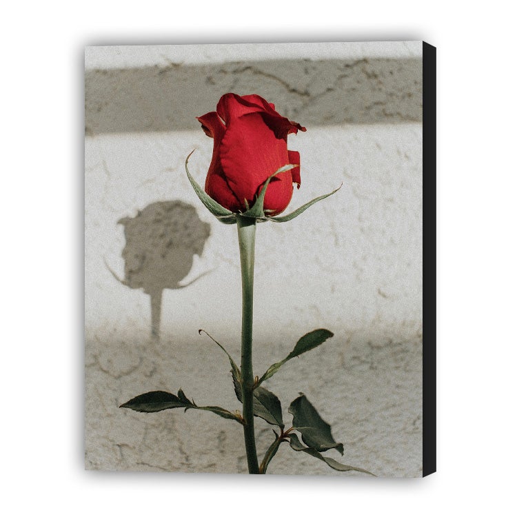 Flor Solitaria