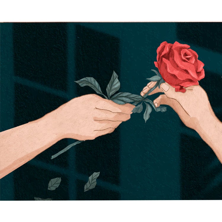 Rosa como regalo