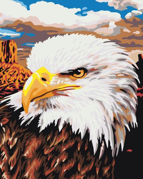 Águila orgullosa - Hola Hobby (5457209786519)