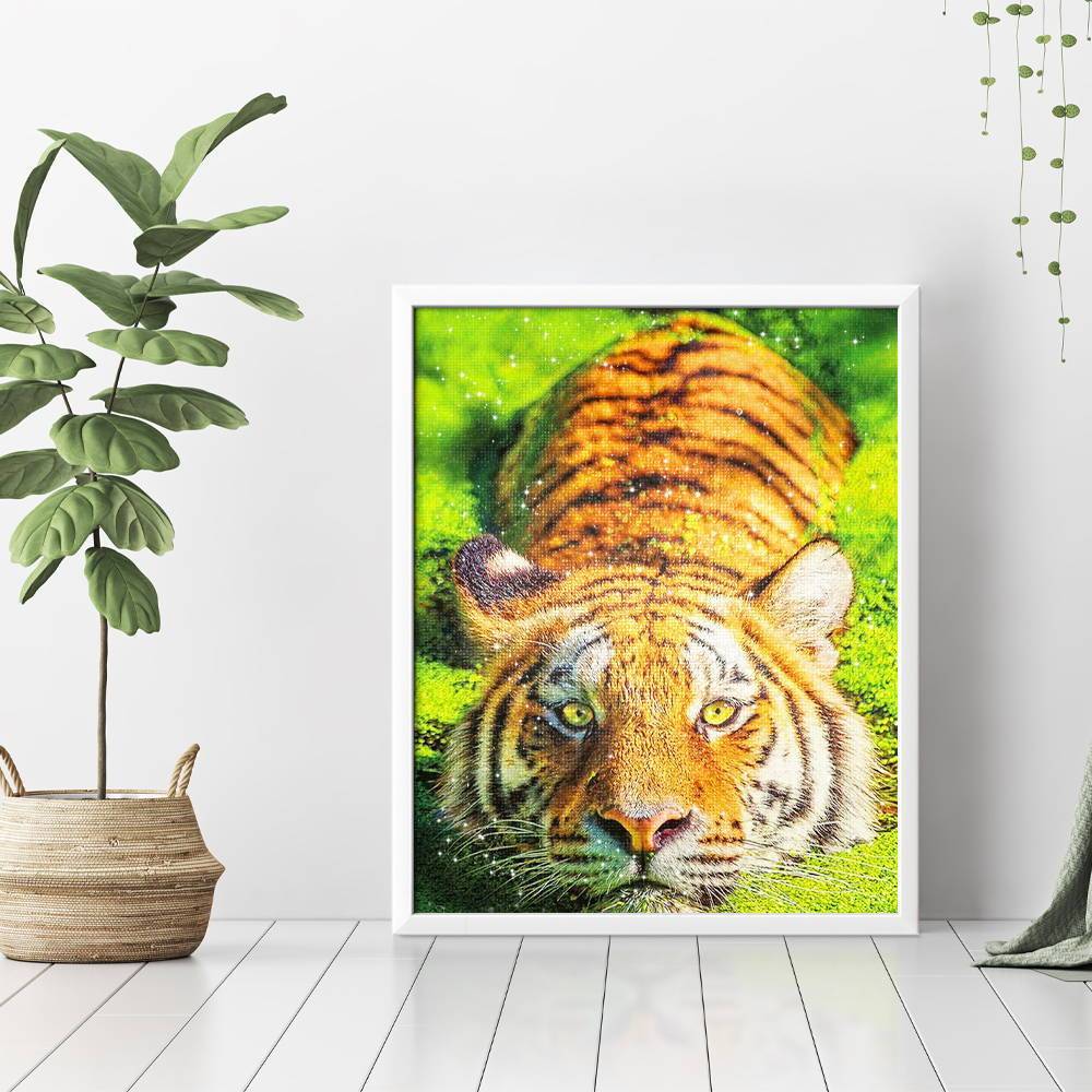 Antes del salto - Hola Hobby