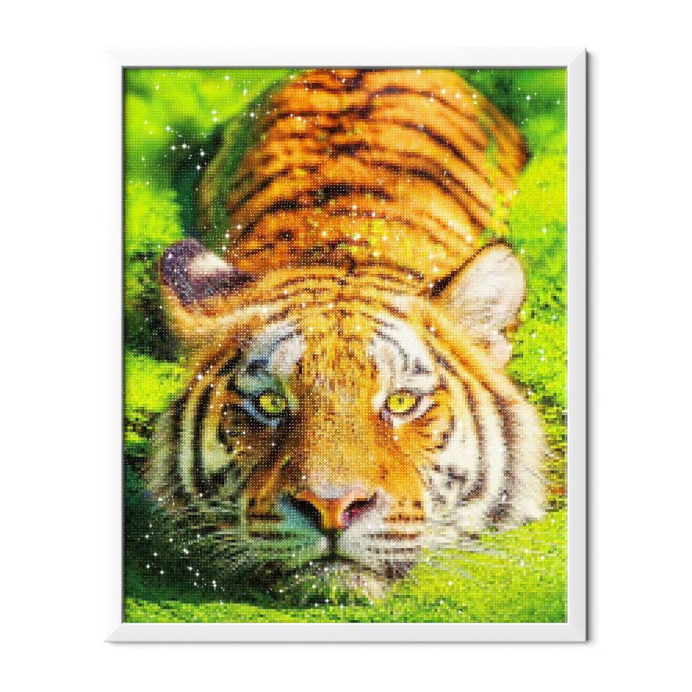 Antes del salto - Hola Hobby