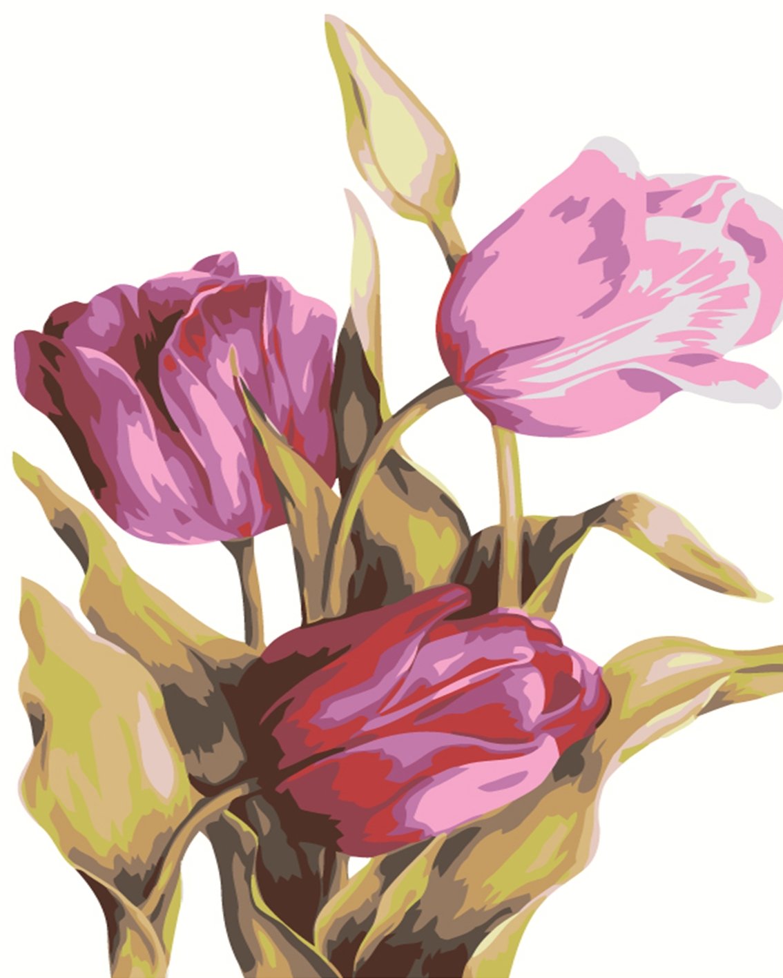 Arte de tulipanes (5457200873623)