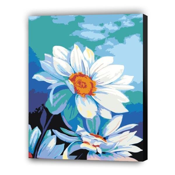 Asters - Hola Hobby (5457190846615)