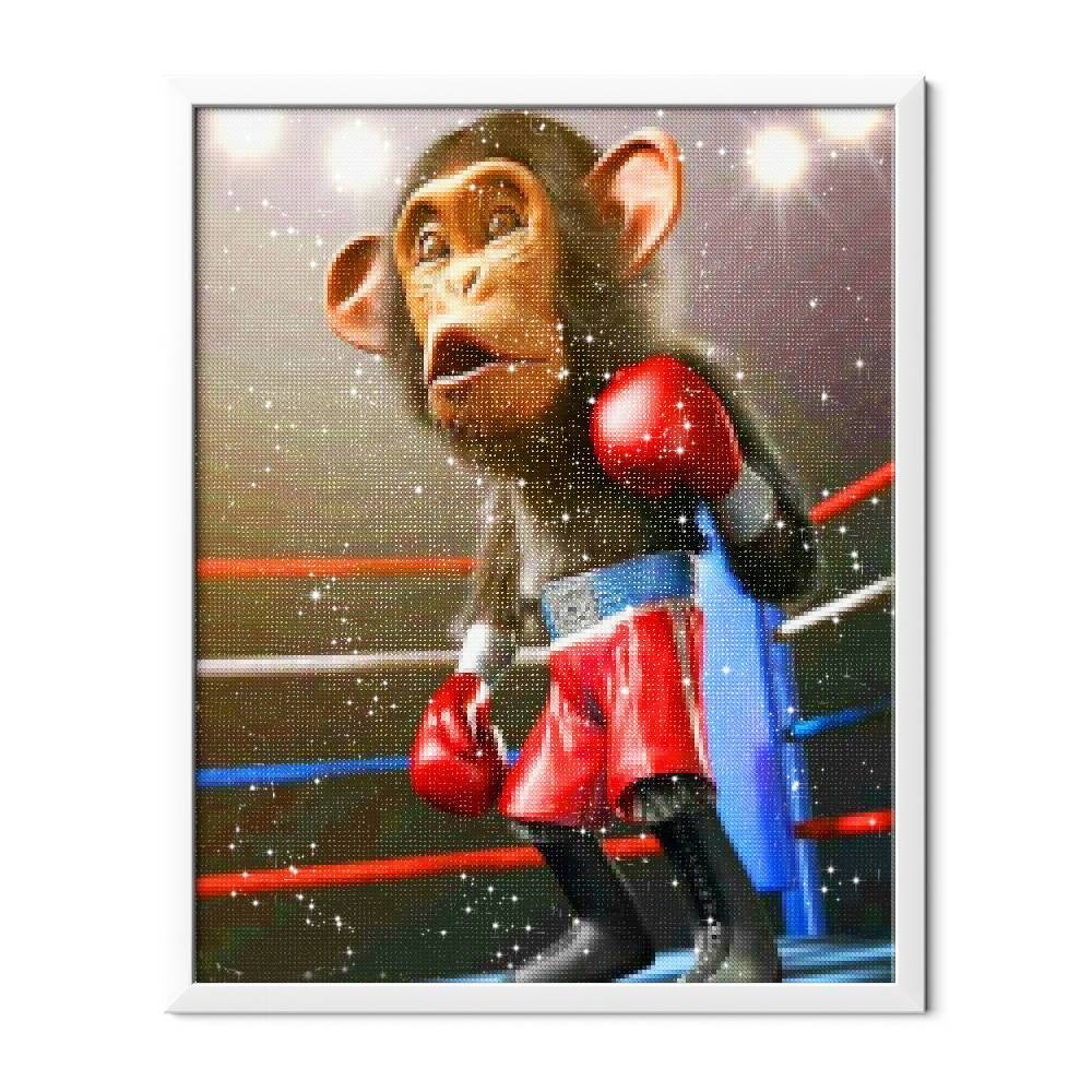 Boxer mono - Hola Hobby