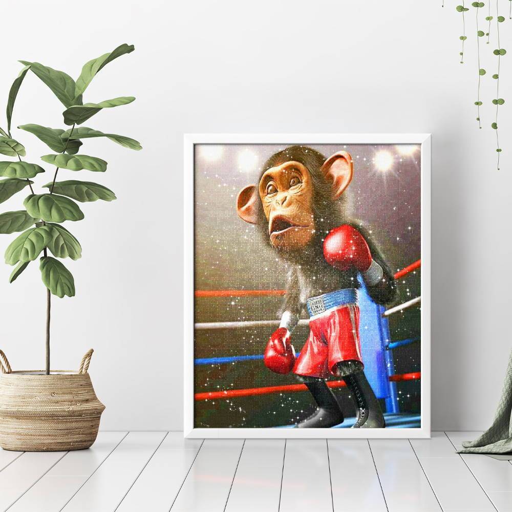 Boxer mono - Hola Hobby