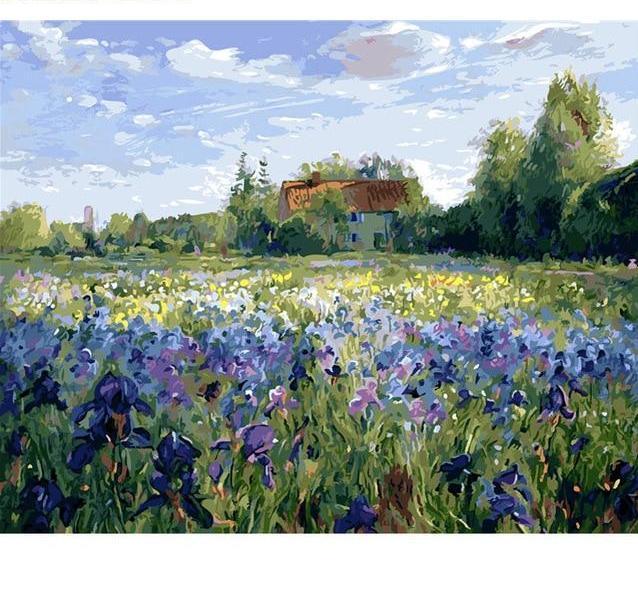 Campo de flores - Hola Hobby