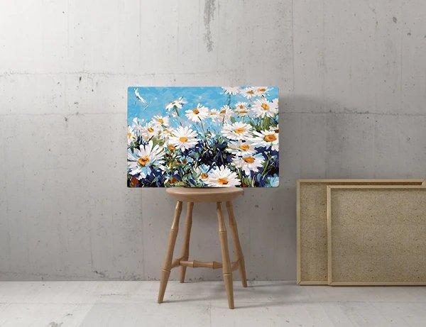 Campo de manzanilla (5457173053591)