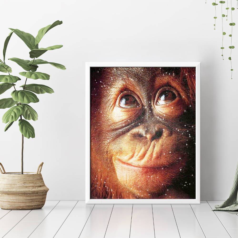 Cara de mono - Hola Hobby