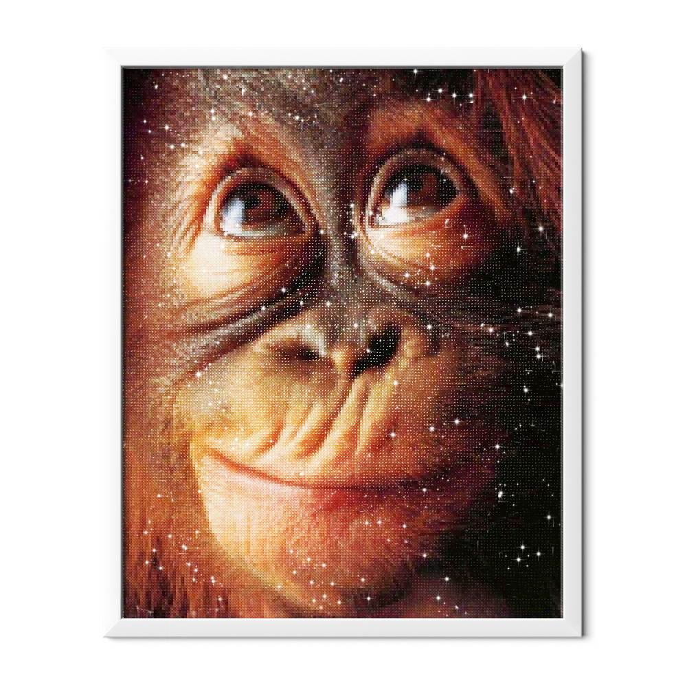 Cara de mono - Hola Hobby