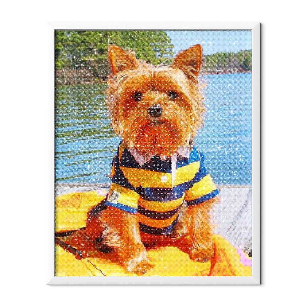 Chico genial - Hola Hobby