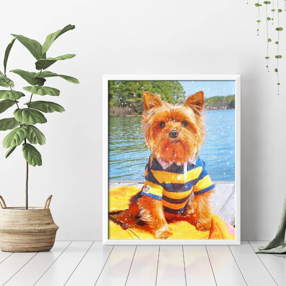 Chico genial - Hola Hobby