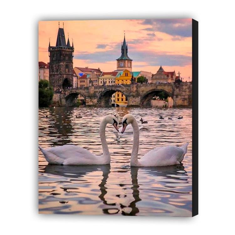 cisnes en Praga - Hola Hobby