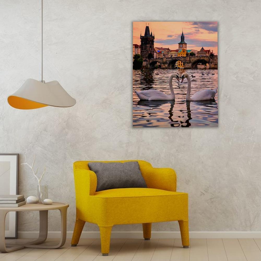 cisnes en Praga - Hola Hobby