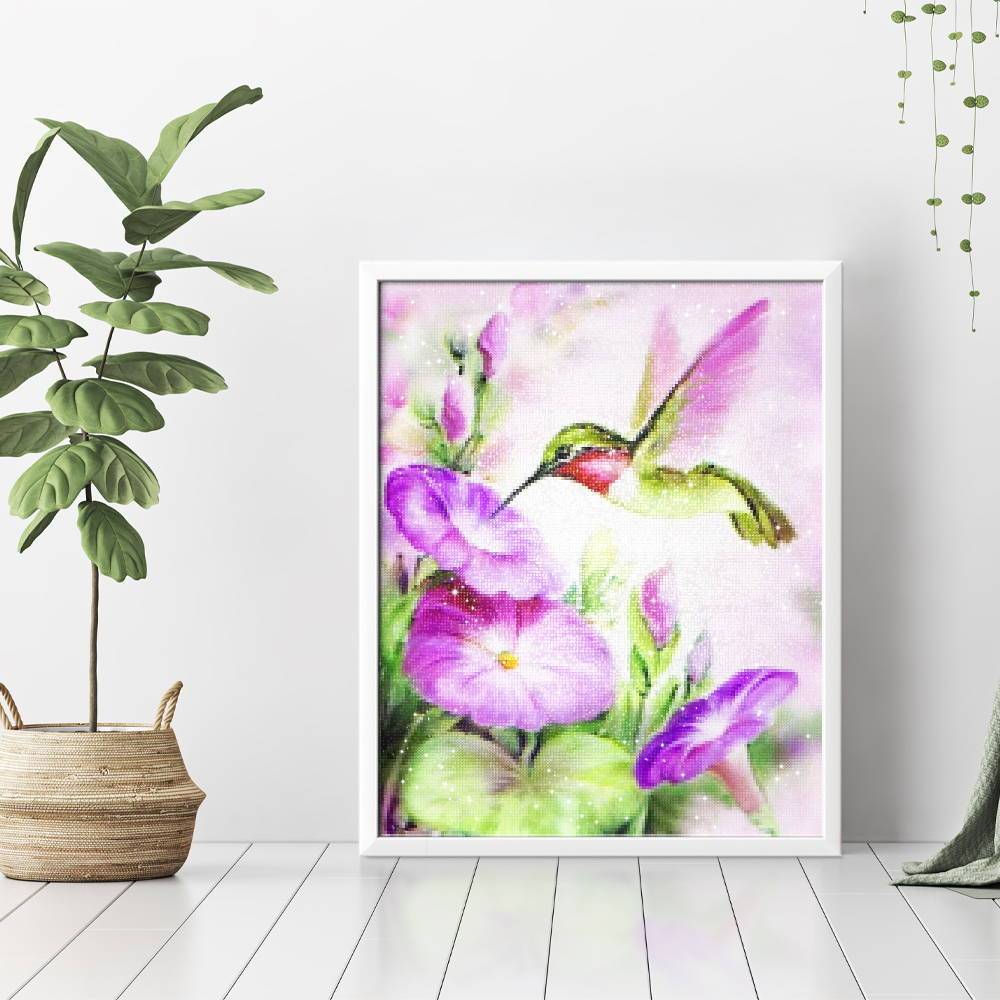 Colibrí - Hola Hobby