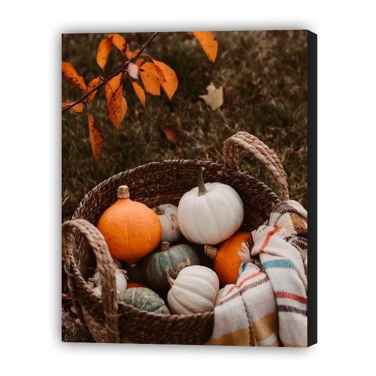 Cosecha de Calabaza - Hola Hobby
