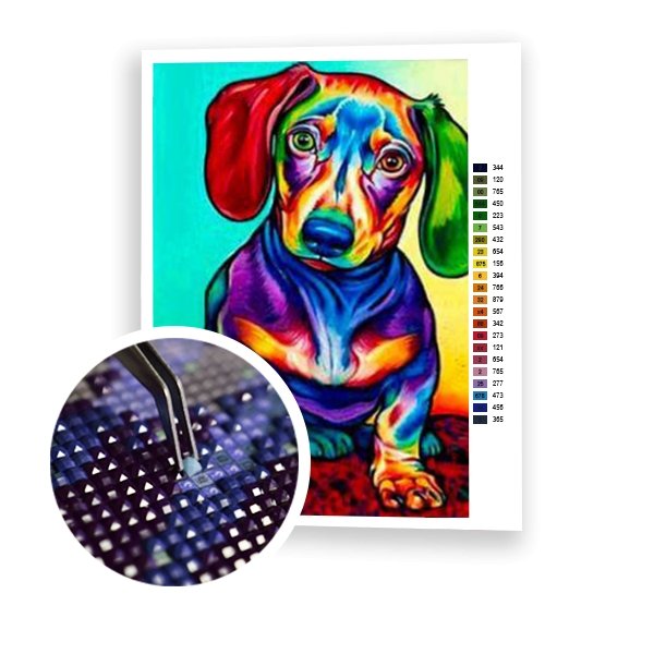 Dachshund de color - Hola Hobby