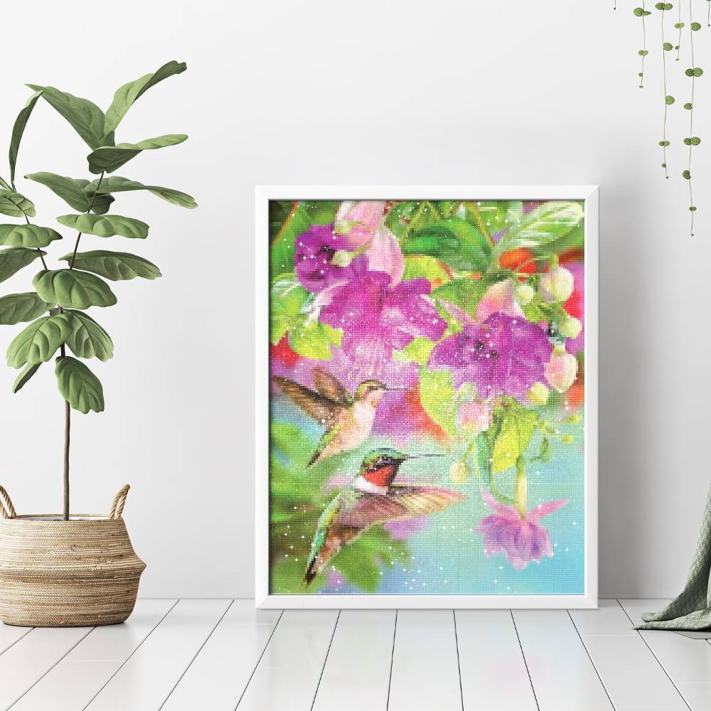 Dos colibríes - Hola Hobby