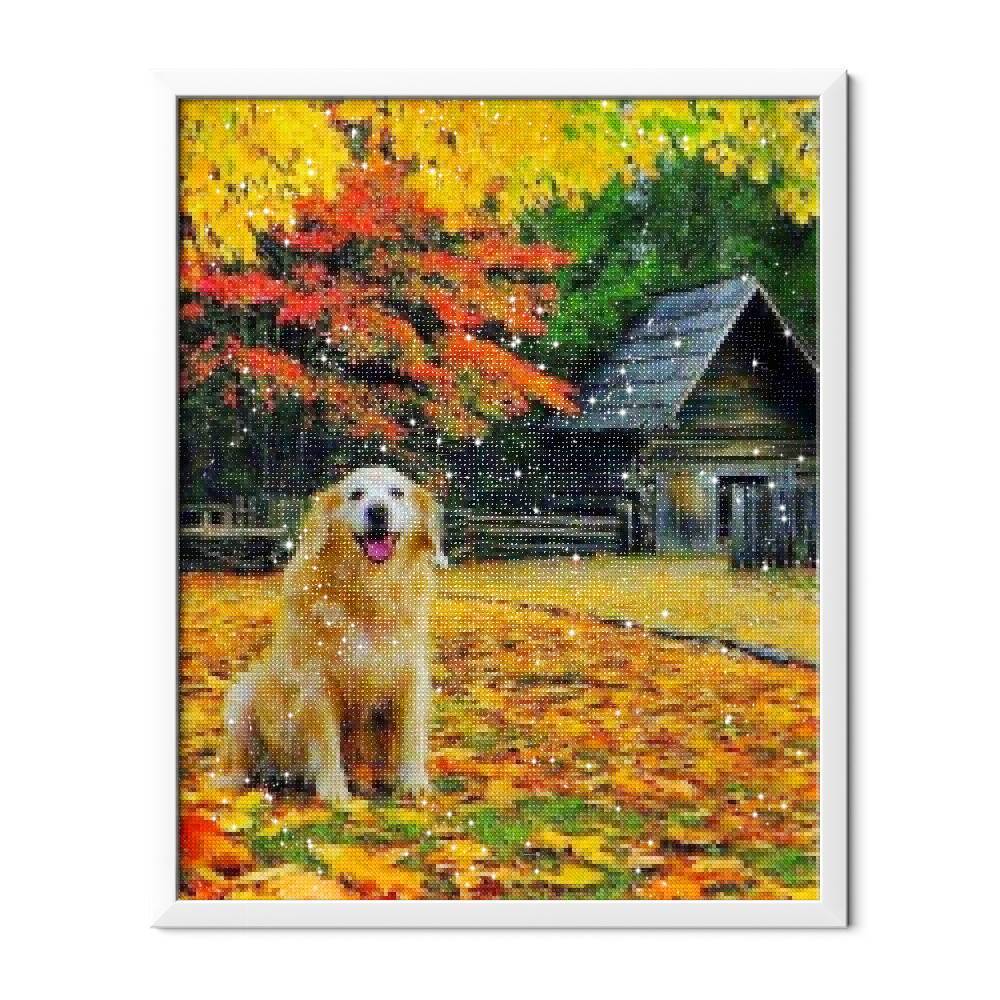 Dos de oro - Hola Hobby