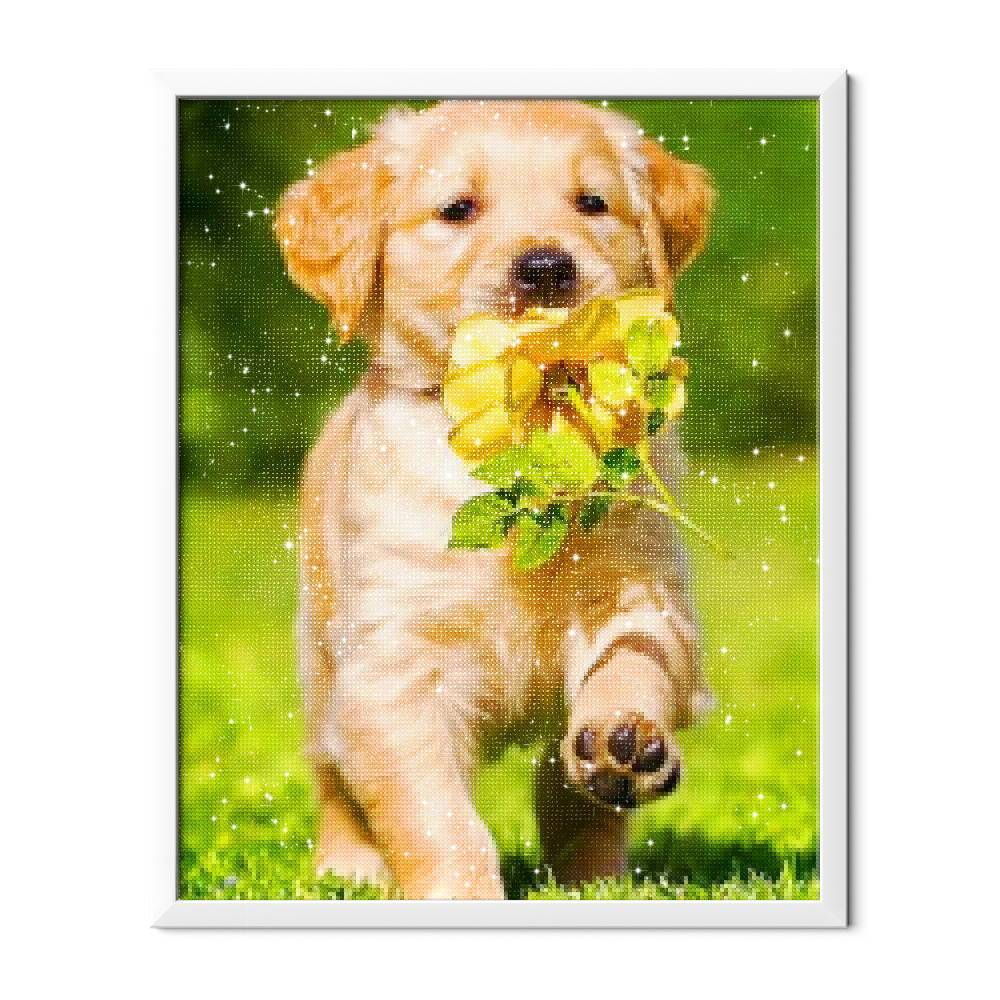 Dulce cachorro - Hola Hobby