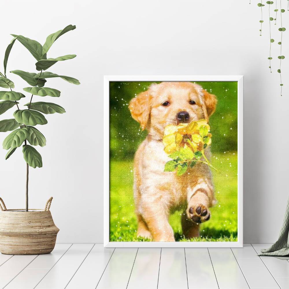 Dulce cachorro - Hola Hobby