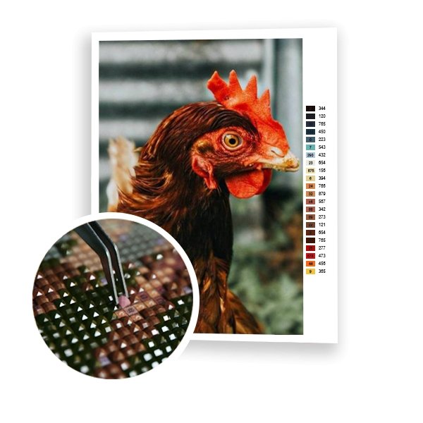 Gallina - Hola Hobby
