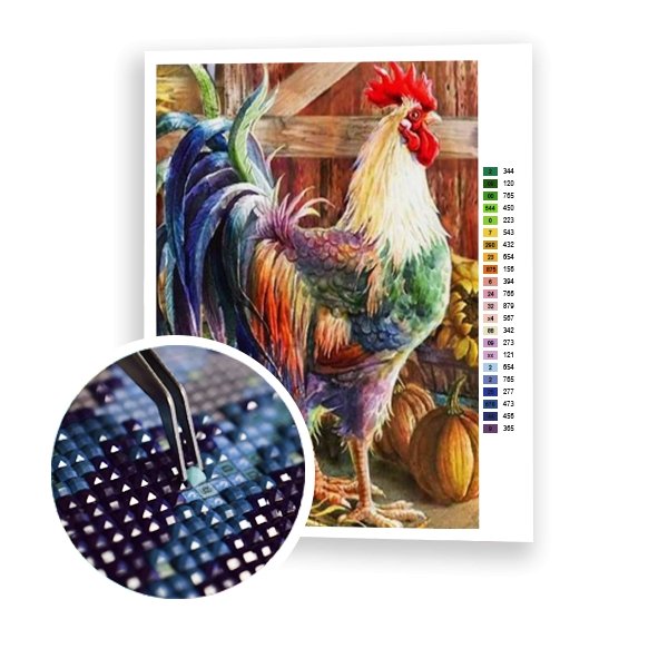 Gallo - Hola Hobby