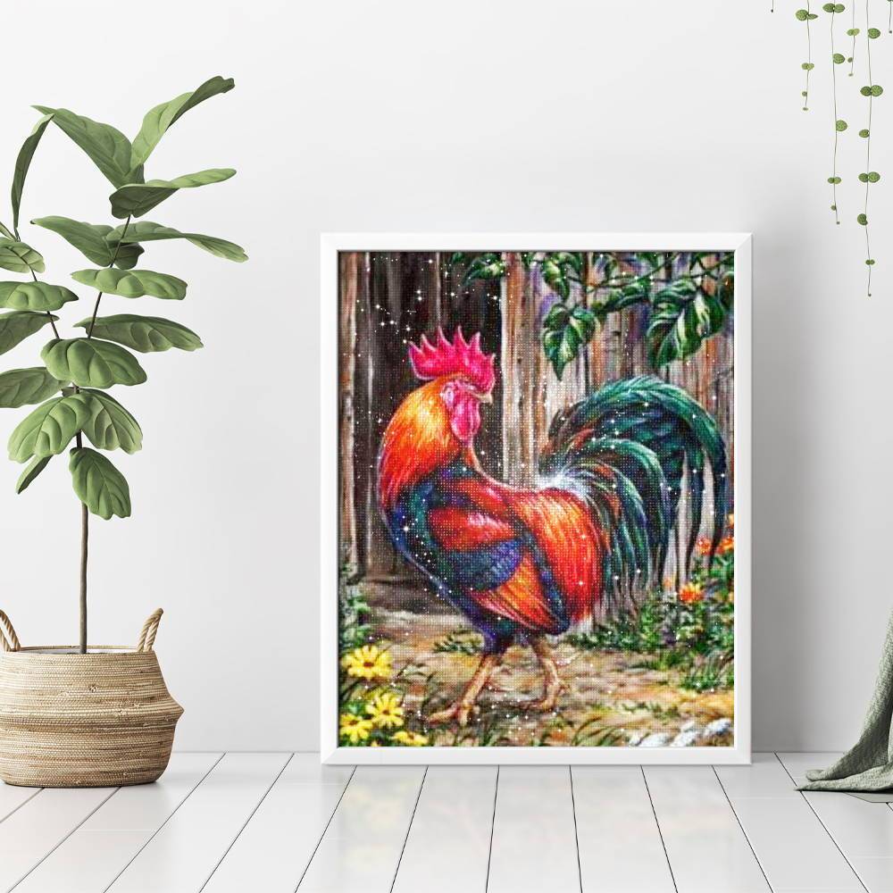 Gallo joven - Hola Hobby