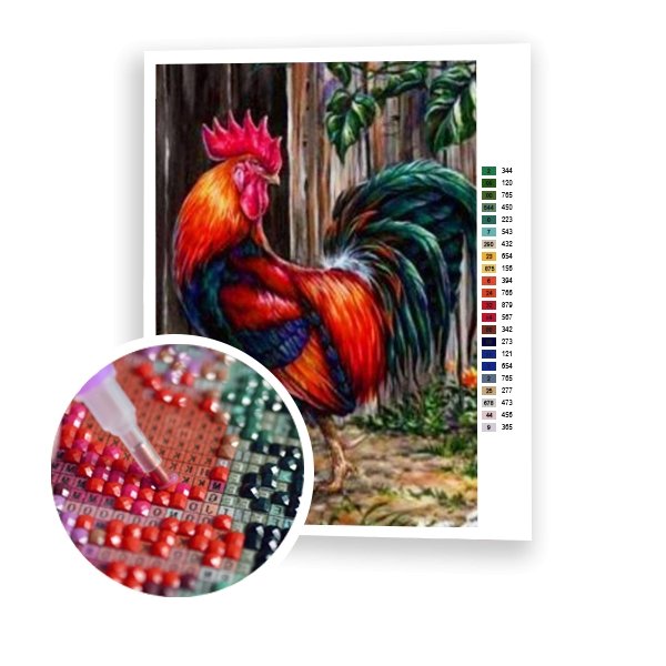 Gallo joven - Hola Hobby