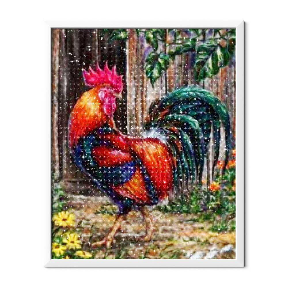 Gallo joven - Hola Hobby