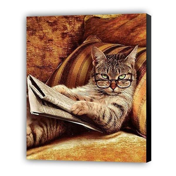 Gato - Hola Hobby