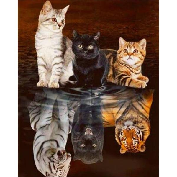 Gatos soñando - Hola Hobby