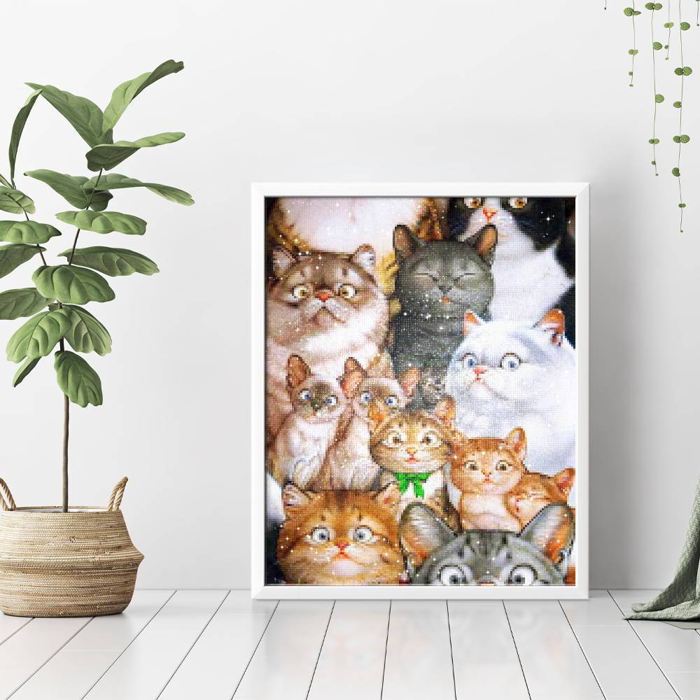 Gatos sorprendidos - Hola Hobby