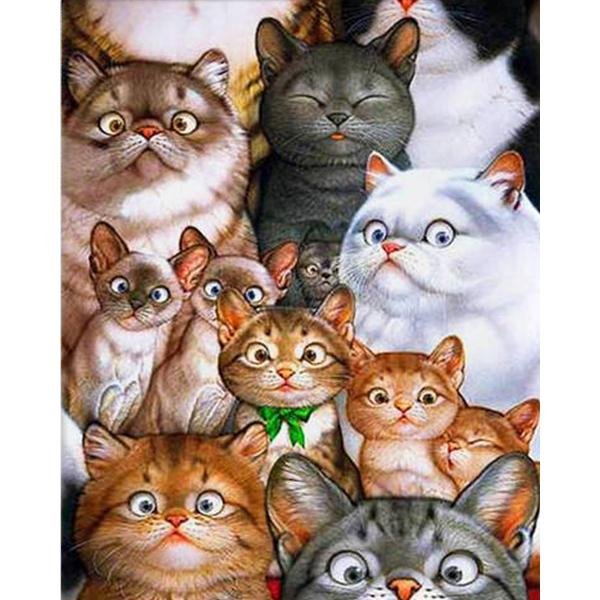 Gatos sorprendidos - Hola Hobby