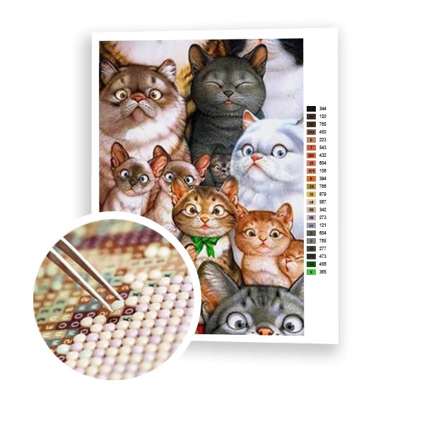 Gatos sorprendidos - Hola Hobby