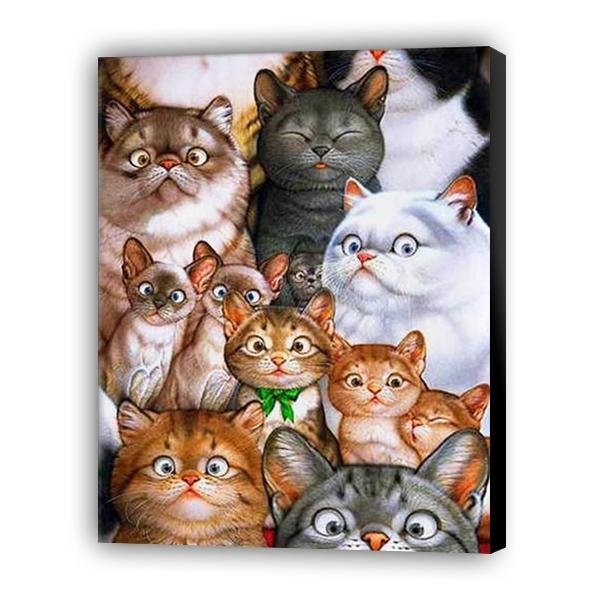 Gatos sorprendidos - Hola Hobby