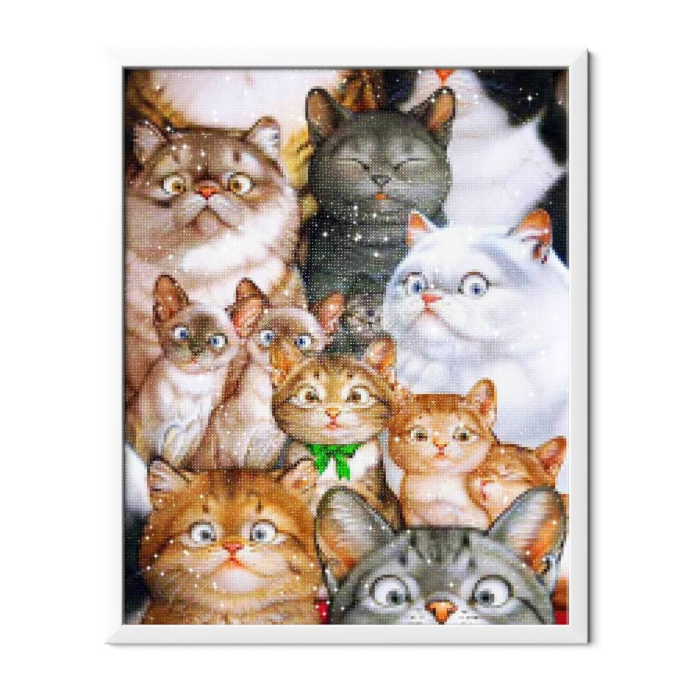 Gatos sorprendidos - Hola Hobby