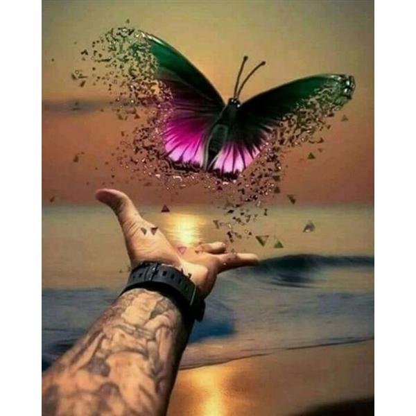 Hermosa mariposa - Hola Hobby