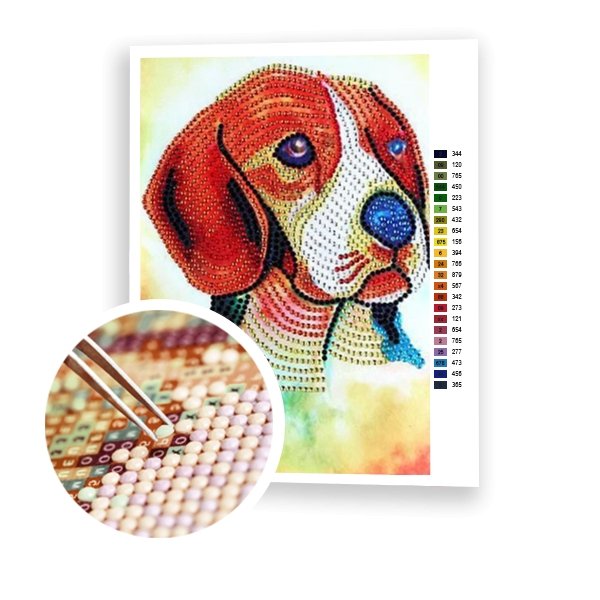 Hermoso beagle - Hola Hobby