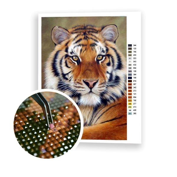 Hermoso tigre - Hola Hobby