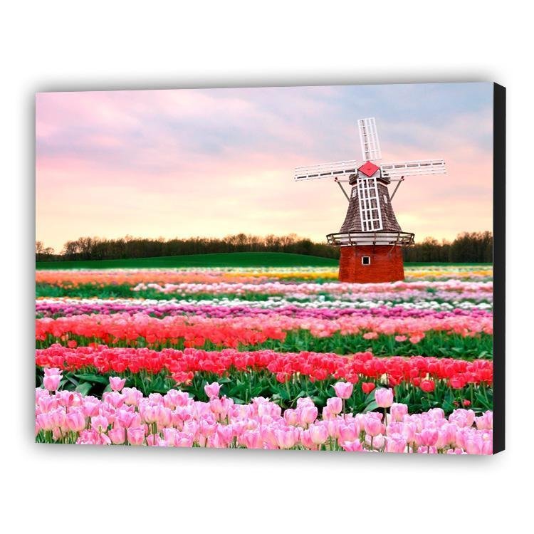Holanda Blumen - Hola Hobby
