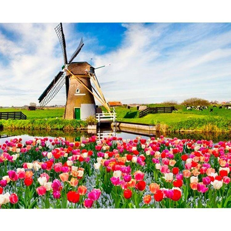 Holanda Mühle - Hola Hobby