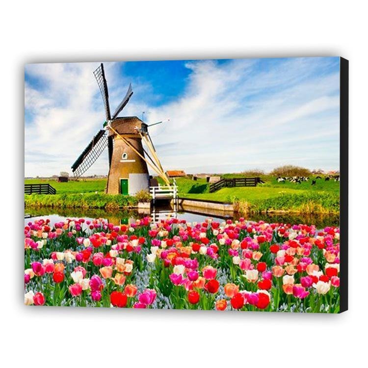 Holanda Mühle - Hola Hobby