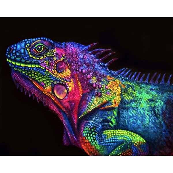 Iguana coloreada - Hola Hobby
