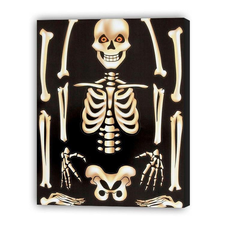 Lección de Anatomía - Hola Hobby
