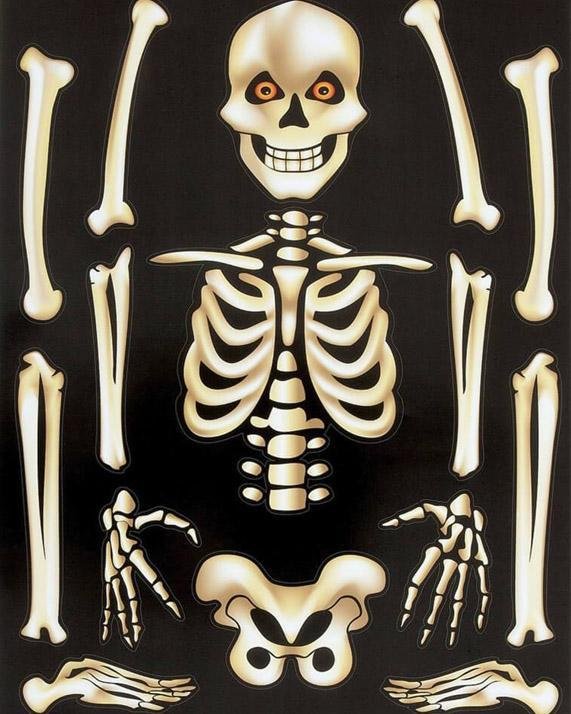 Lección de Anatomía - Hola Hobby