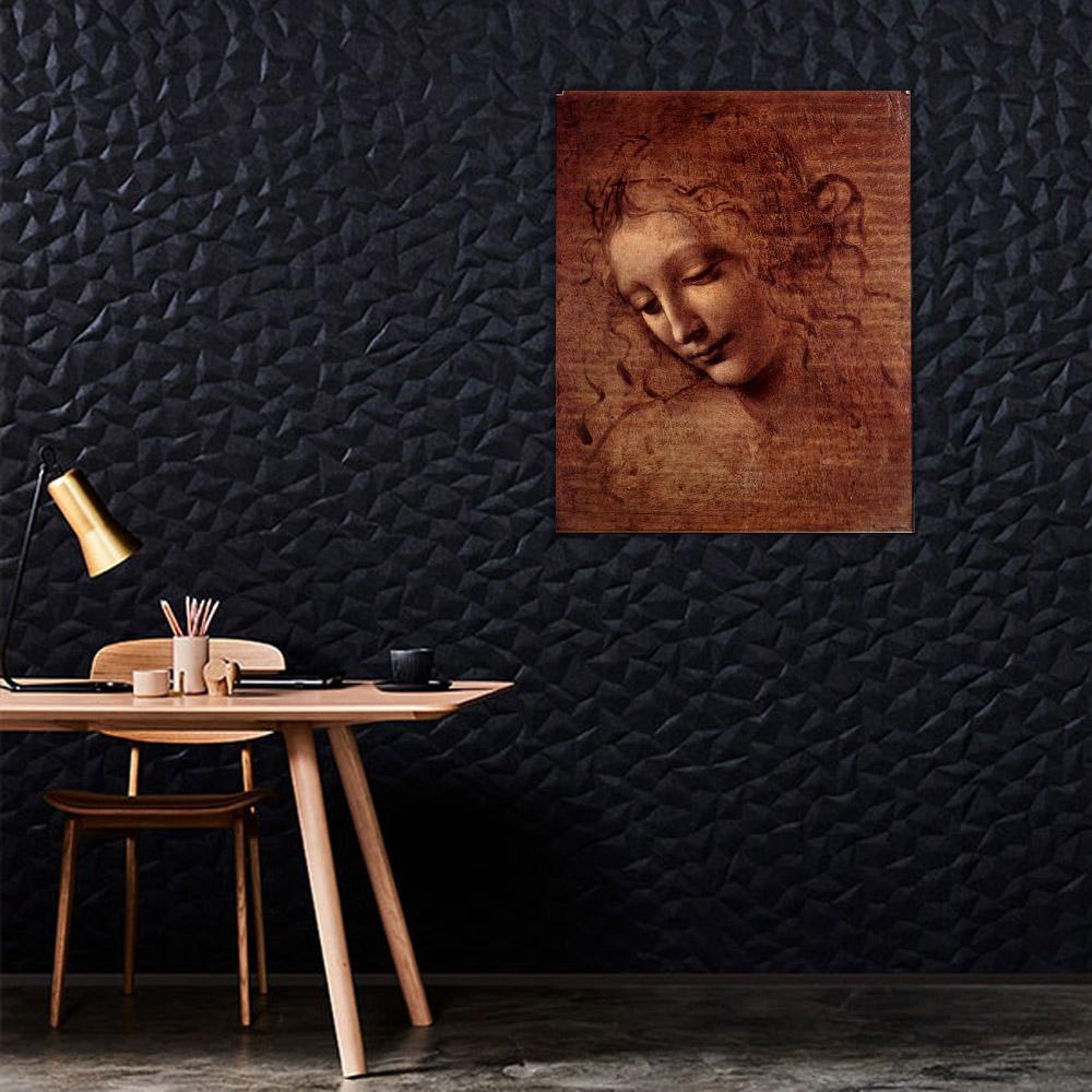 Leonardo da Vinci“ Kopf ” - Hola Hobby