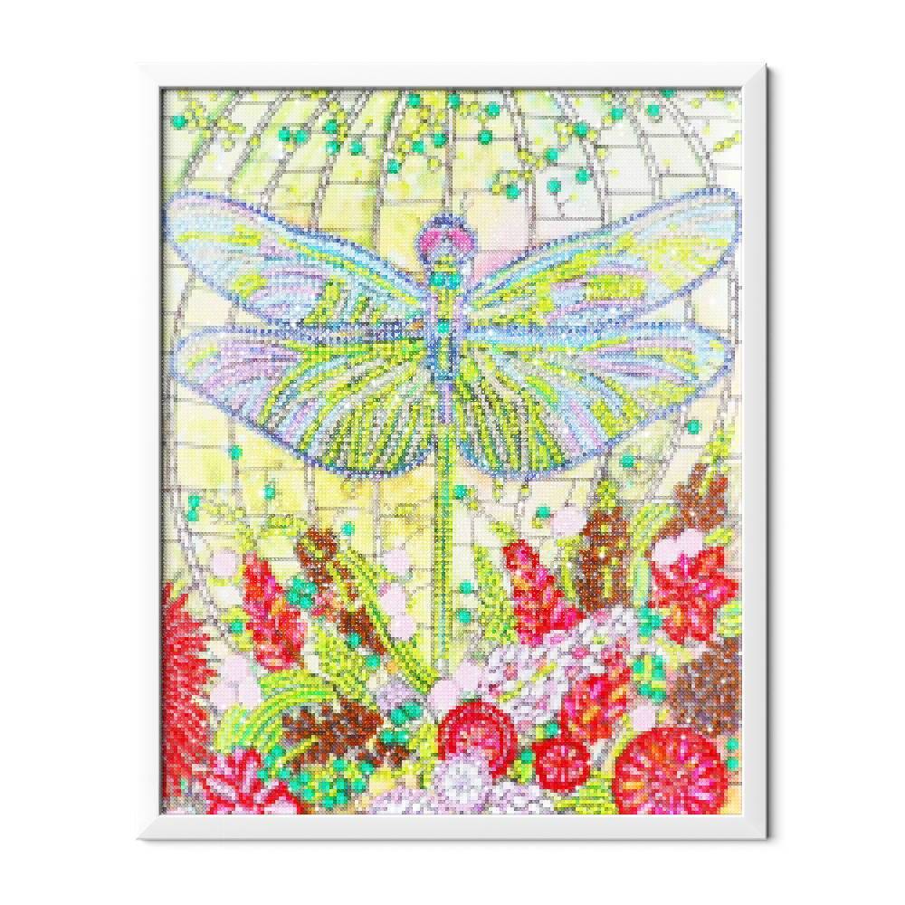 Libélula colorida - Hola Hobby