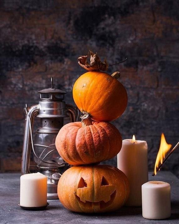 Listo para Halloween - Hola Hobby